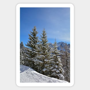 Snowy Trees on Monte Lussari Sticker